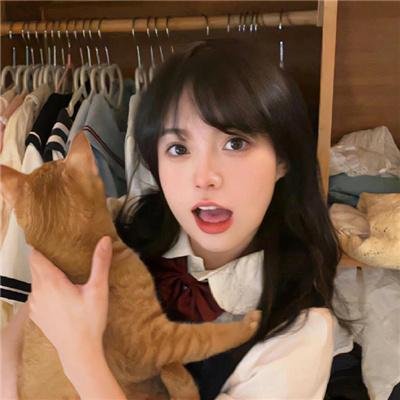 土耳其人的圣母